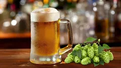 Nicht so schädlich, wie man sagt: 5 Fakten über die Vorteile von Bier