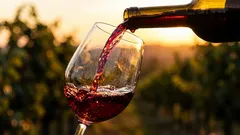 Ein Glas zum Mittagessen: Wahrheiten und Mythen über den Nutzen von Wein