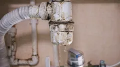 Siphon ausgetrocknet? 5 Schritte zu einer geruchsfreien Wohnung