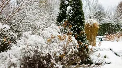 Auch im Winter muss man sich um den Garten kümmern. Was nach jedem Schneefall zu prüfen ist
