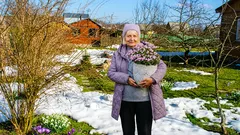Was man zu Saisonbeginn pflanzen sollte: 5 bewährte Blumenarten