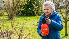 Gartenpflege im Frühling: Wann und womit Sie Bäume vor Schädlingen schützen