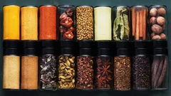 Wenn diese Gewürze in der Küche fehlen, wird Kochen komplizierter als nötig